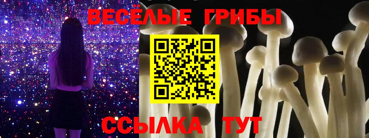 Галлюциногенные грибы Psilocybine cubensis Глазов