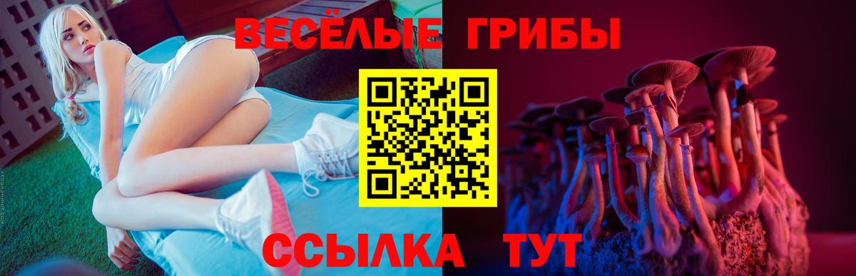 Глазов  Псилоцибиновые грибы Psilocybine cubensis  Вход с VPN  Галлюциногенные грибы Cubensis 